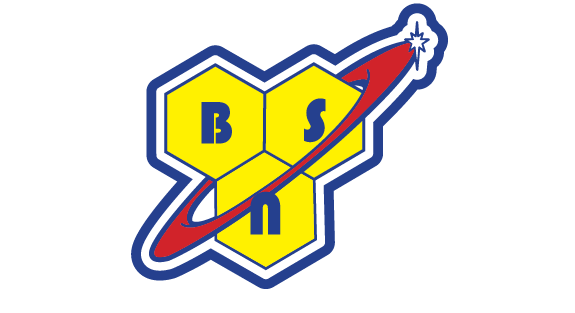 bsn bsn