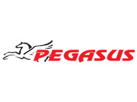 PEGASUS